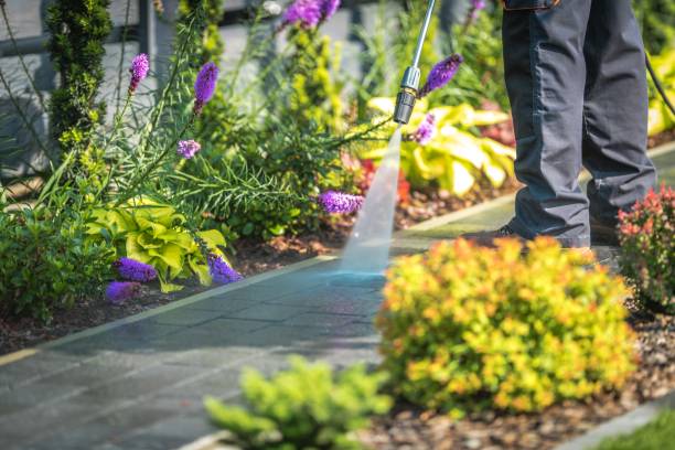 Best Pre-Holiday Cleaning  in Laurel Park, NC